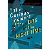 THE CURIOUS INCIDENT OF THE DOG IN THE NIGHT-TIME