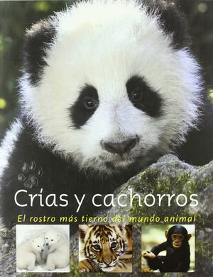 CRIAS Y CACHORROS. EL ROSTRO MAS TIERNO DEL MUNDO