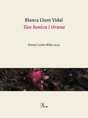 TAN BONICA I TIRANA (PREMI CARLES RIBA)