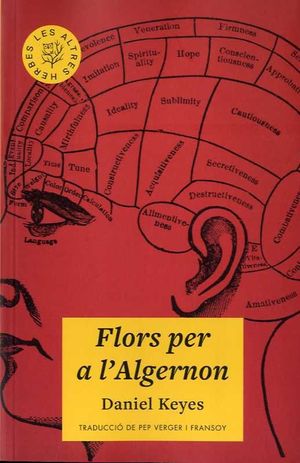 FLORS PER A L'ALGERNON