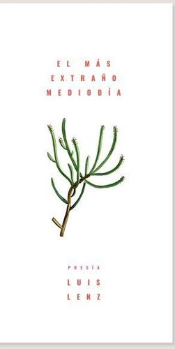 EL MÁS EXTRAÑO MEDIODÍA