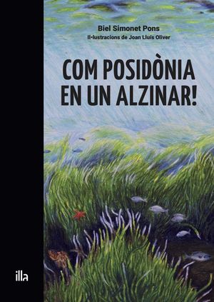 COM POSIDÒNIA EN UN ALZINAR!