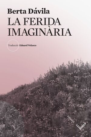 LA FERIDA IMAGINARIA