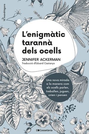 L'ENIGMATIC TARANNA DELS OCELLS