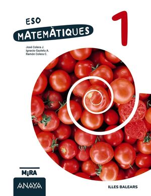 MATEMÀTIQUES 1