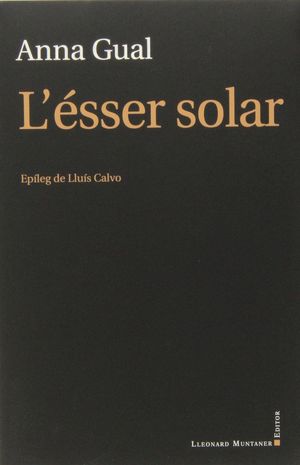 ESSER SOLAR, L'