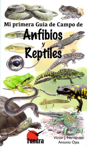 MI PRIMERA GUIA DE CAMPO. ANFIBIOS Y REPTILES