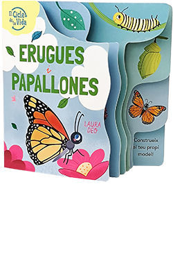 CICLE DE LA VIDA. ERUGUES I PAPALLONES, EL