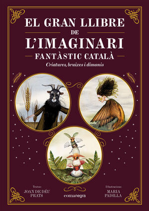 GRAN LLIBRE DE L'IMAGINARI FANTÀSTIC CATALÀ, EL