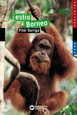 ESTIU A BORNEO (ANT. JOVE 116)