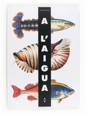 (CAT).A L'AIGUA.(POP-UP)