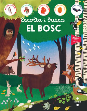 ESCOLTA I BUSCA EL BOSC