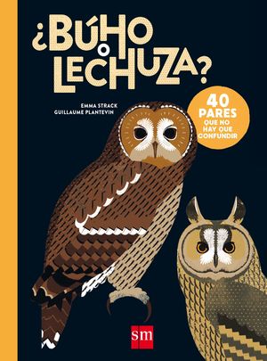 ¿BUHO O LECHUZA?.(PARA APRENDER MAS SOBRE)