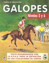 GALOPES, CURSO DE EQUITACIÓN, NIVELES 5 Y 6