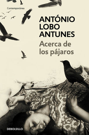 ACERCA DE LOS PAJAROS