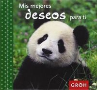 MIS MEJORES DESEOS PARA TI