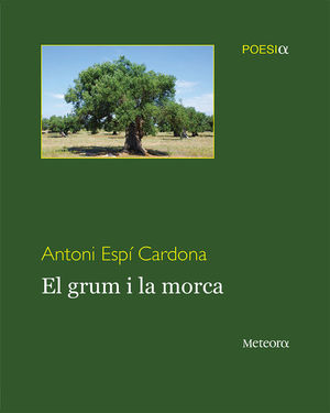 GRUM I LA MORCA, EL