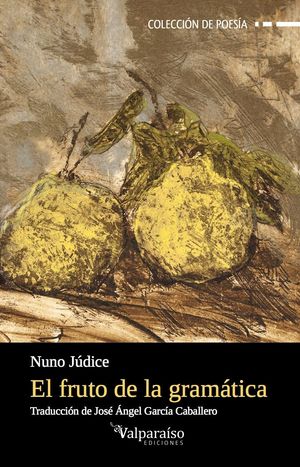 FRUTO DE LA GRAMATICA,EL