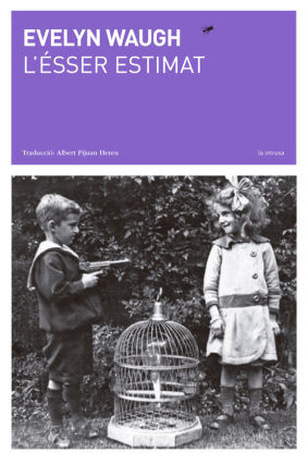 ESSER ESTIMAT, L'