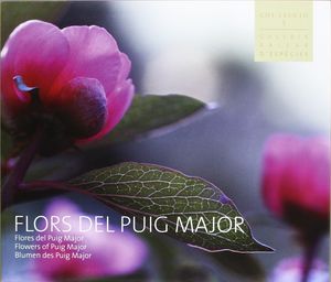 FLORS DEL PUIG MAJOR