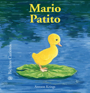 MARIO PATITO