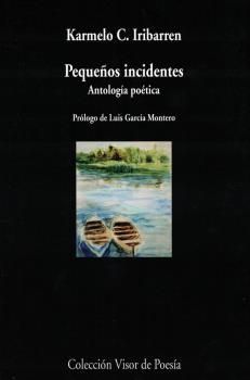 PEQUEÑOS INCIDENTES