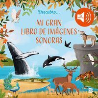 MI GRAN LIBRO DE IMÁGENES  SONORAS