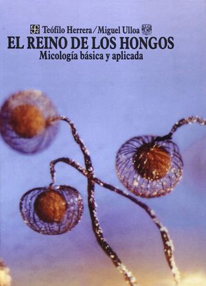 REINO DE LOS HONGOS,EL